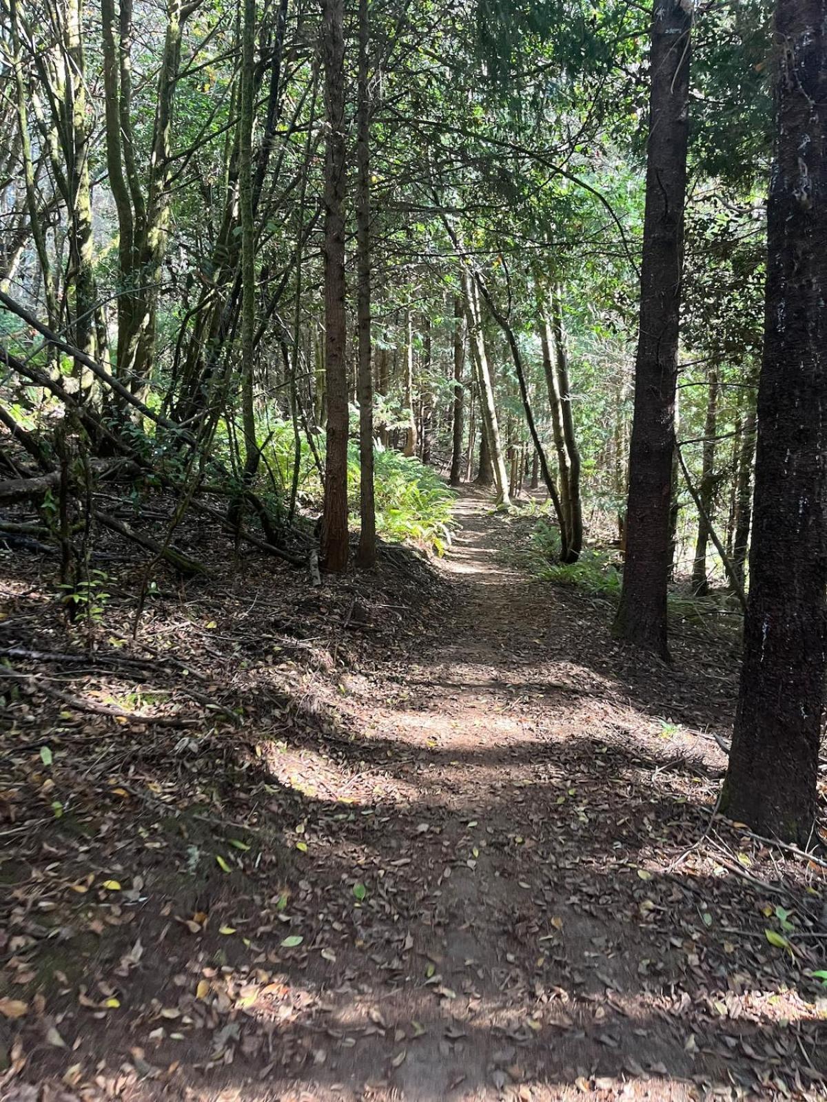 Miss Ellies Estate * Coos Bay