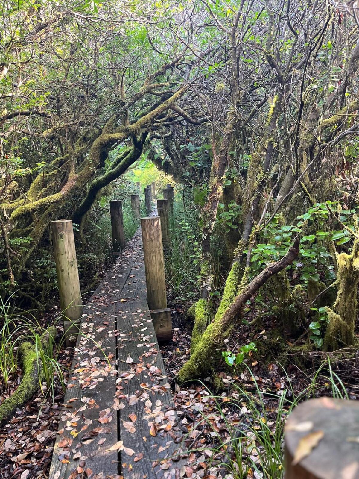 Miss Ellies Estate Coos Bay